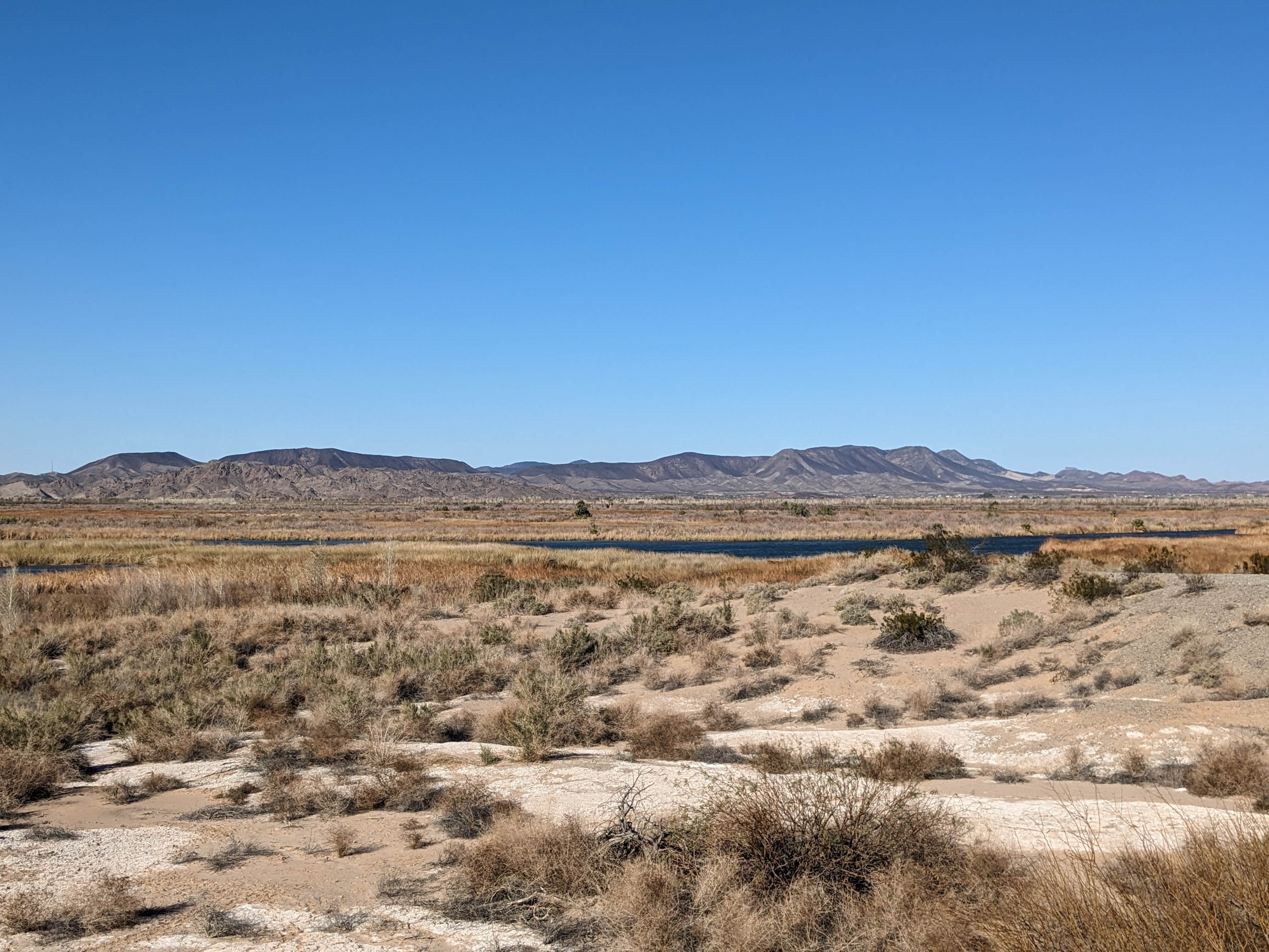 Camper-submitted photo at Lake Mittry Wildlife Designated Camping Area near Winterhaven, CA