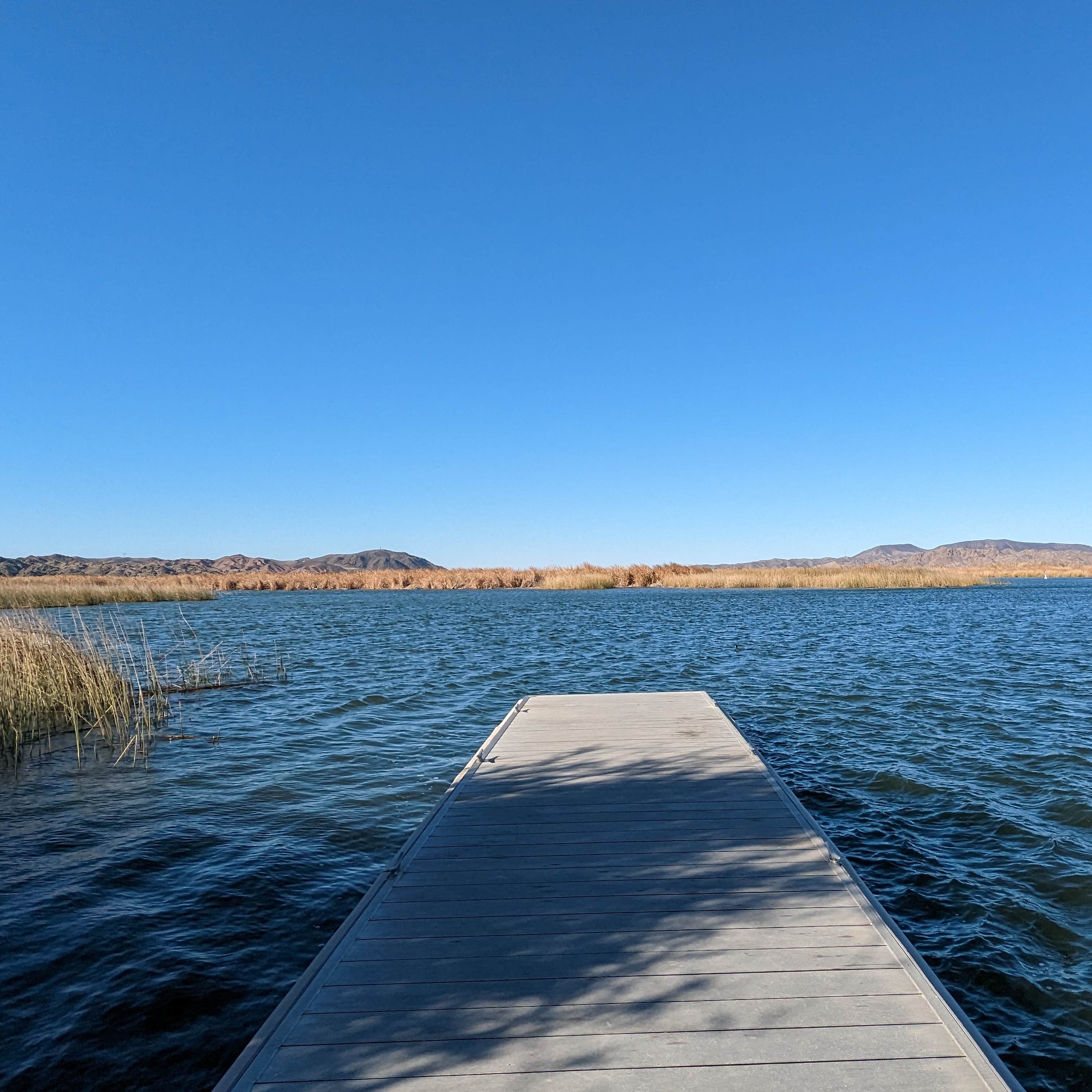 Lake Mittry Wildlife Designated Camping Area Camping The Dyrt