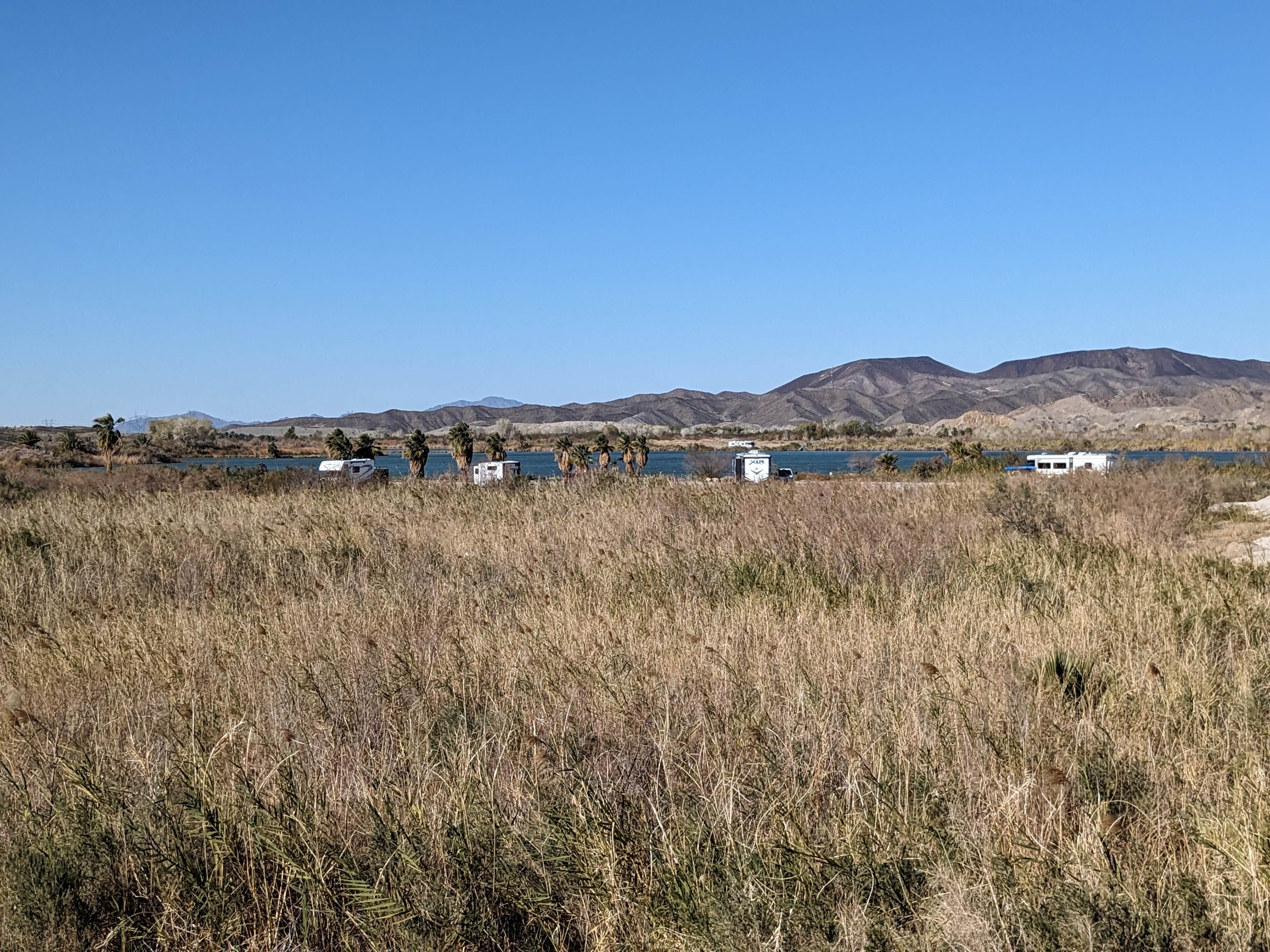 Camper-submitted photo at Lake Mittry Wildlife Designated Camping Area near Winterhaven, CA