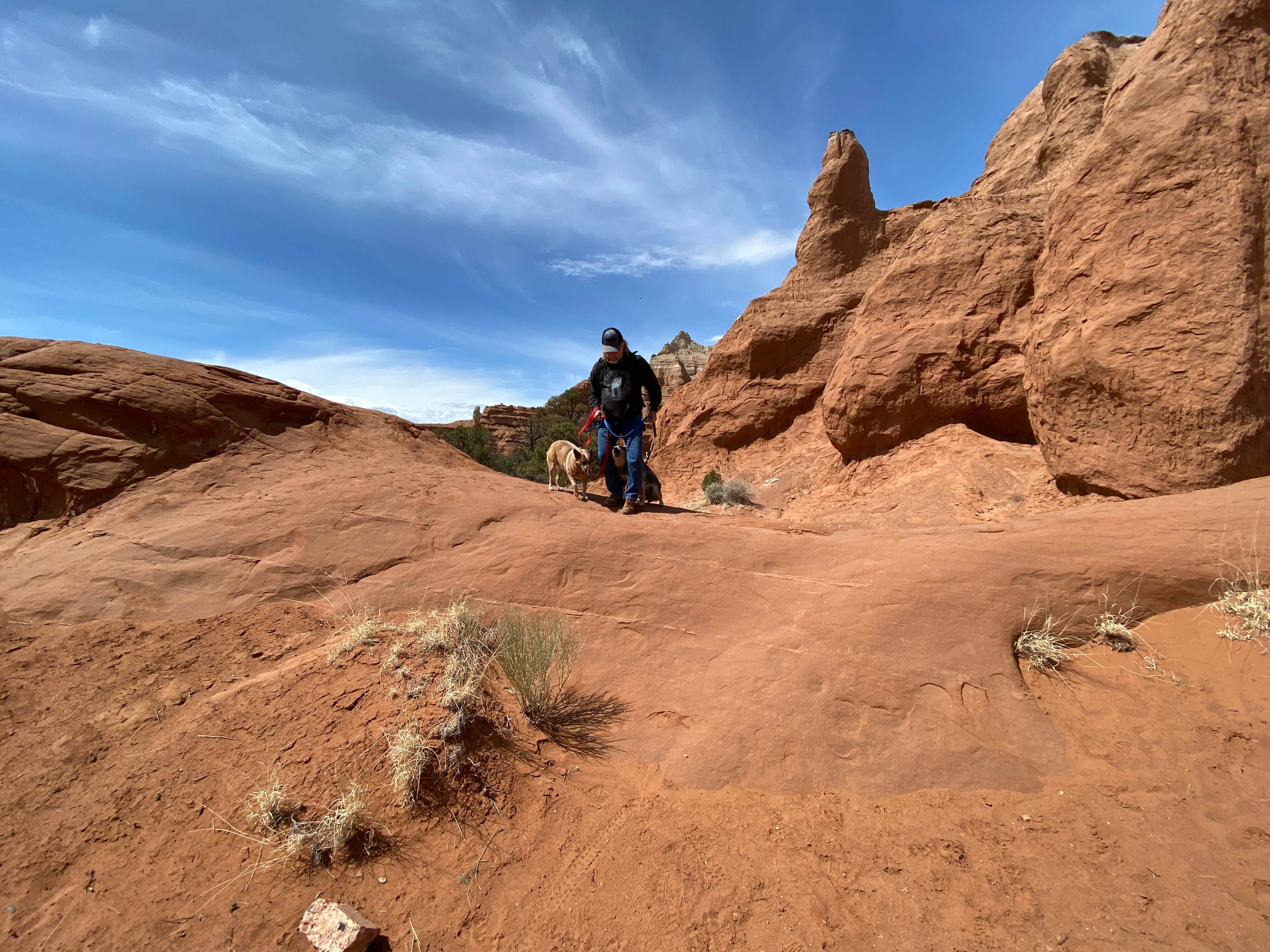 Joy W.'s photo of camping with pets at Bryce View Campground — Kodachrome Basin State Park near Henrieville, UT