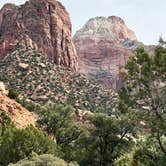 Review photo of Watchman Campground — Zion National Park by Joy W., January 23, 2023