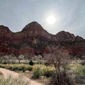 Review photo of Watchman Campground — Zion National Park by Joy W., January 23, 2023