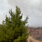 Review photo of Watchman Campground — Zion National Park by Joy W., January 23, 2023