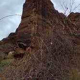 Review photo of Watchman Campground — Zion National Park by Joy W., January 23, 2023