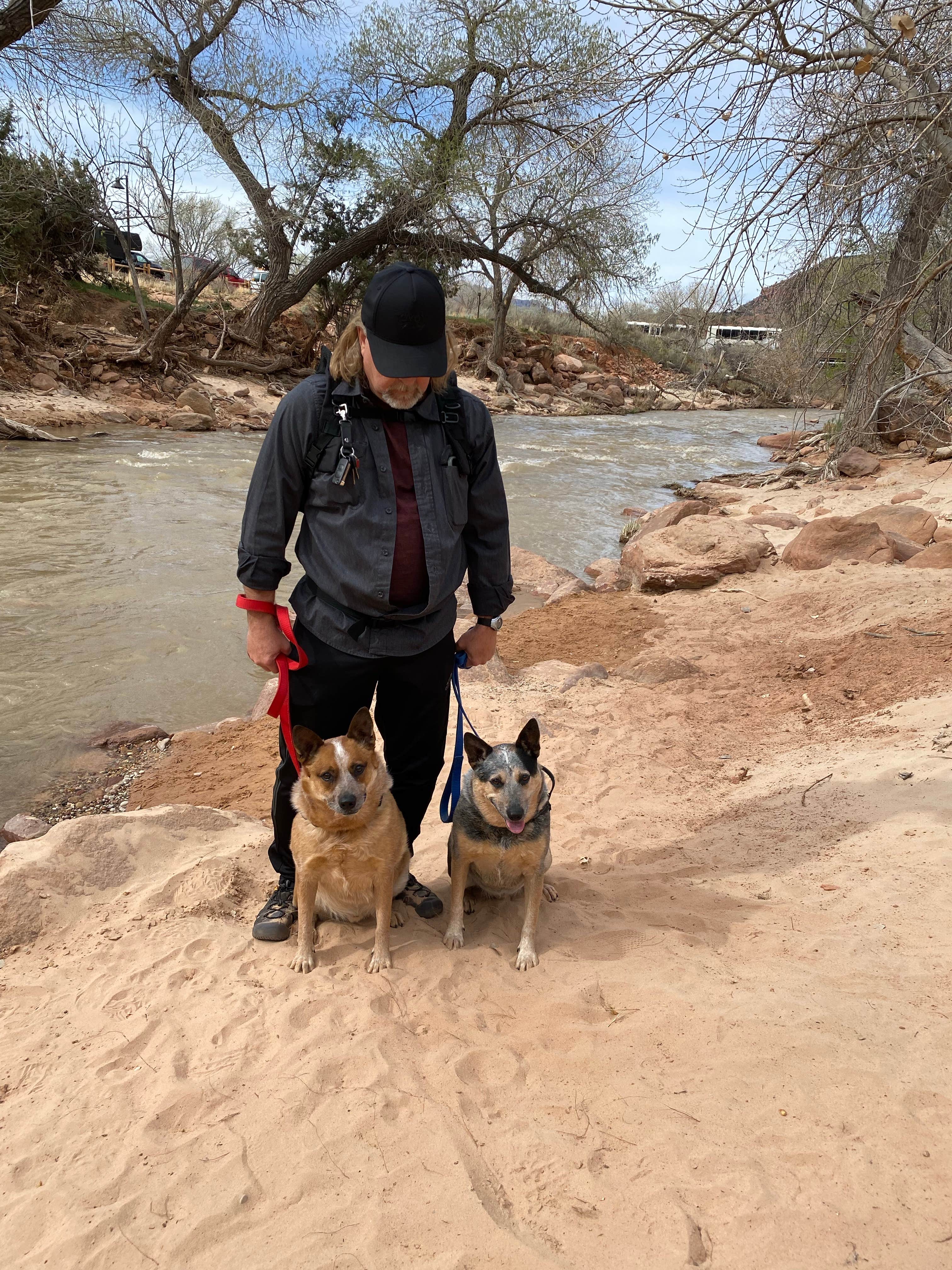 Joy W.'s photo of camping with pets at Watchman Campground — Zion National Park near Washington, UT