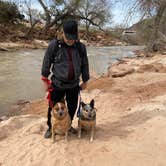 Review photo of Watchman Campground — Zion National Park by Joy W., January 23, 2023