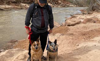 Joy W.'s photo of camping with pets at Watchman Campground — Zion National Park near Zion National Park