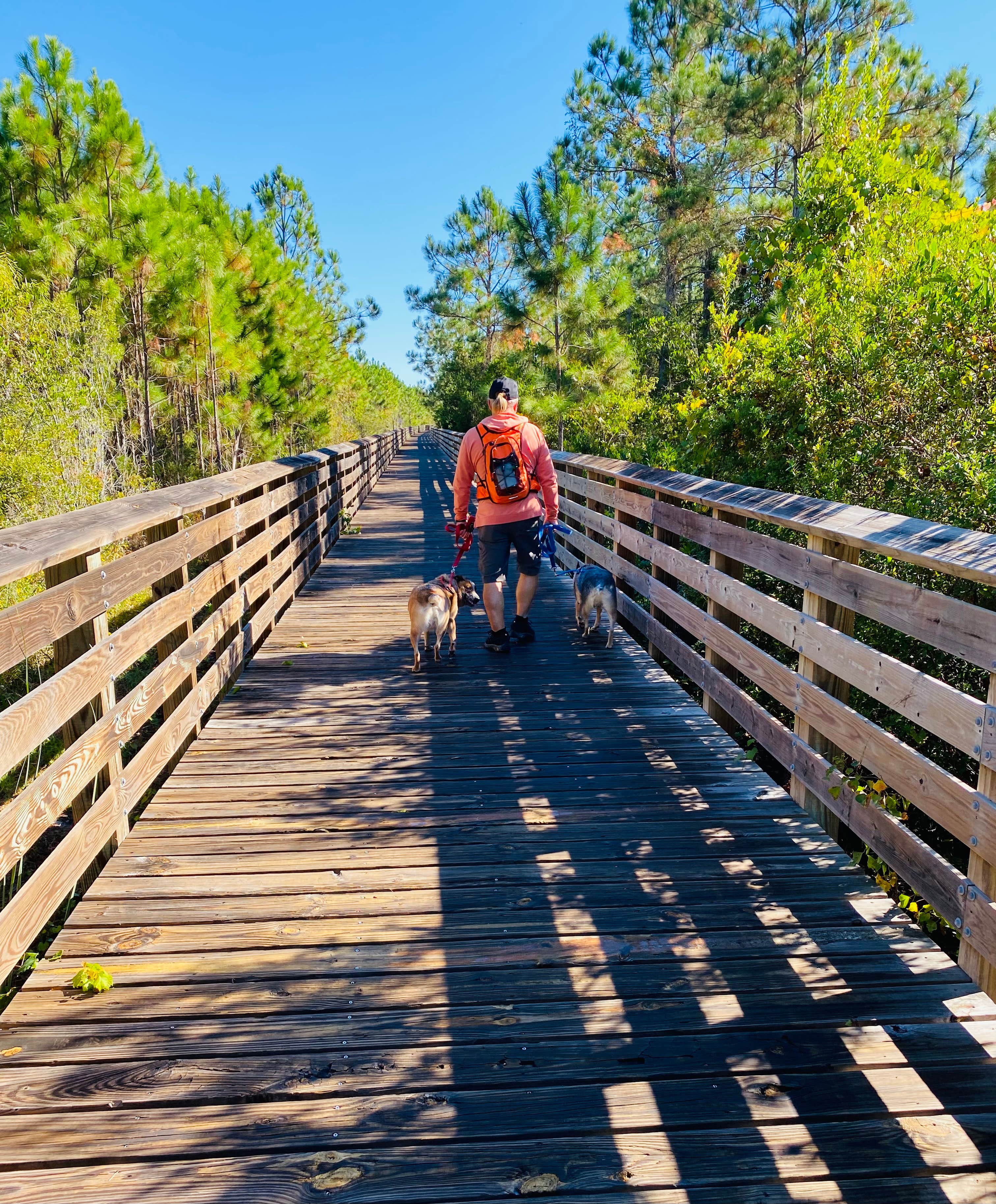 Joy W.'s photo of camping with pets at Gulf State Park Campground near Bay Minette, AL