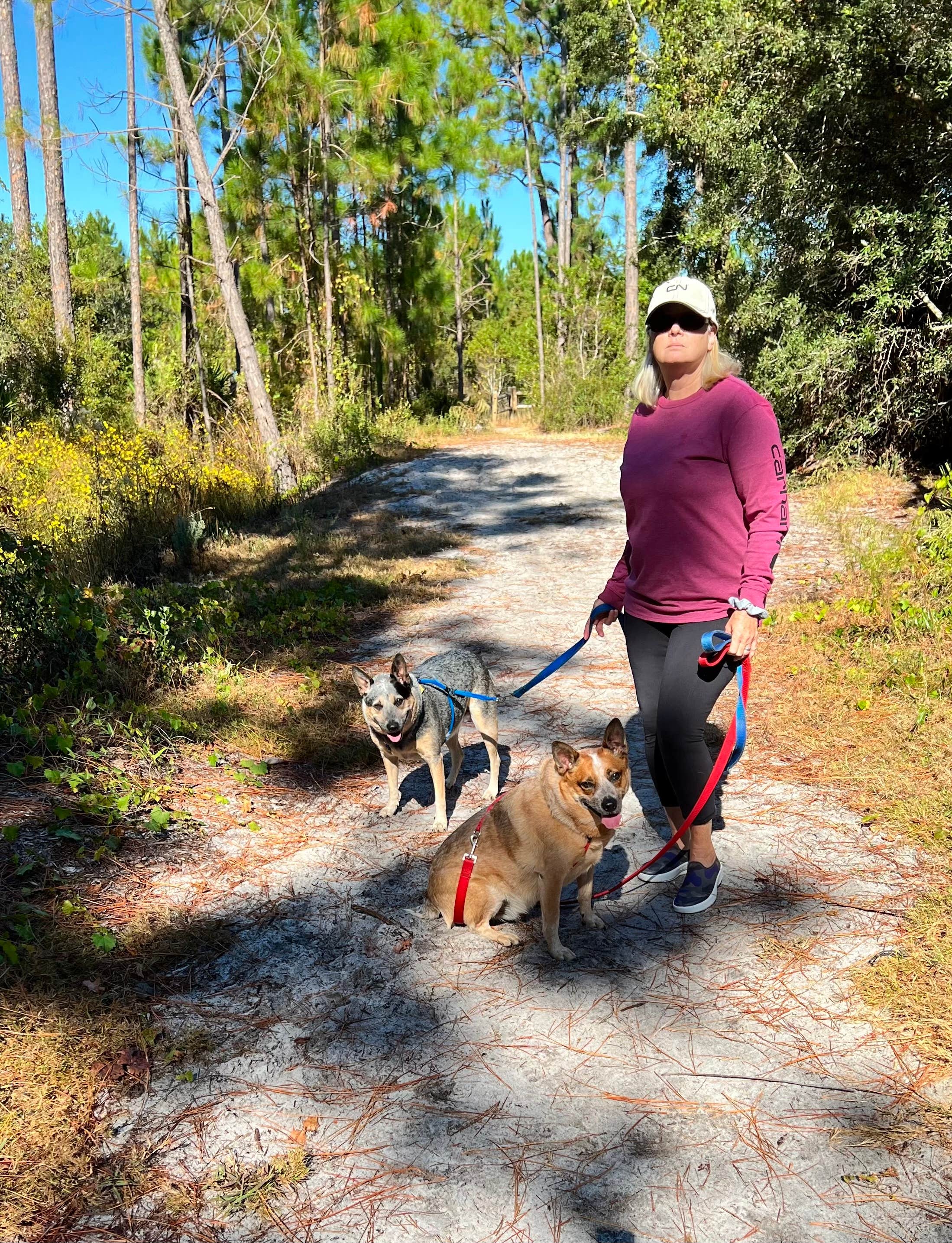 Joy W.'s photo of camping with pets at Gulf State Park Campground near Daphne, AL