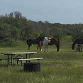 Review photo of Oceanside Assateague Campground — Assateague Island National Seashore by Tony P., September 29, 2018