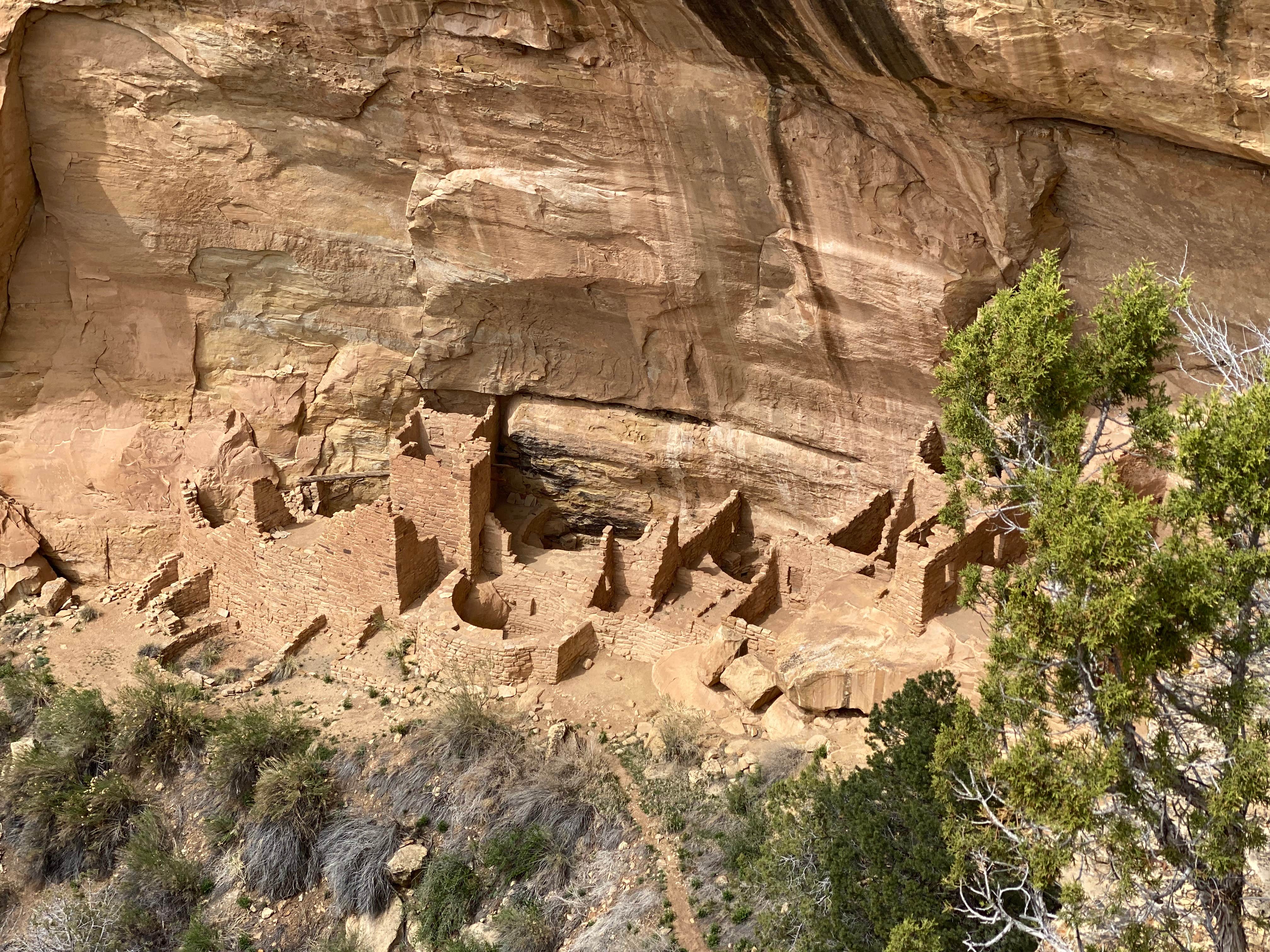 Camper-submitted photo at Mesa Verde RV Resort near Shiprock, NM