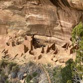 Review photo of Mesa Verde RV Resort by Joy W., January 23, 2023