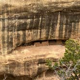 Review photo of Mesa Verde RV Resort by Joy W., January 23, 2023