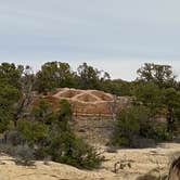 Review photo of Mesa Verde RV Resort by Joy W., January 23, 2023