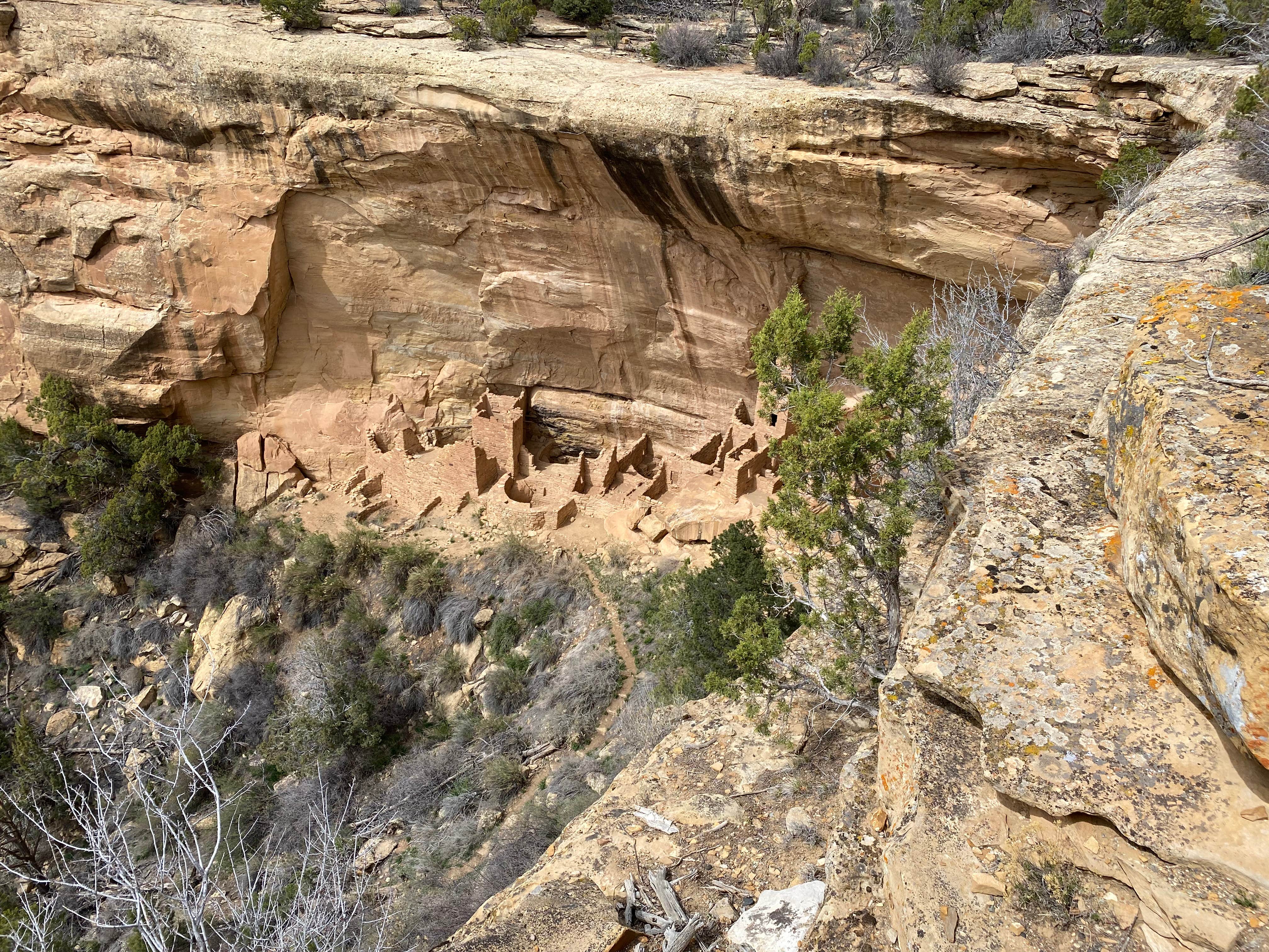 Camper-submitted photo at Mesa Verde RV Resort near Shiprock, NM