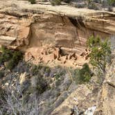 Review photo of Mesa Verde RV Resort by Joy W., January 23, 2023