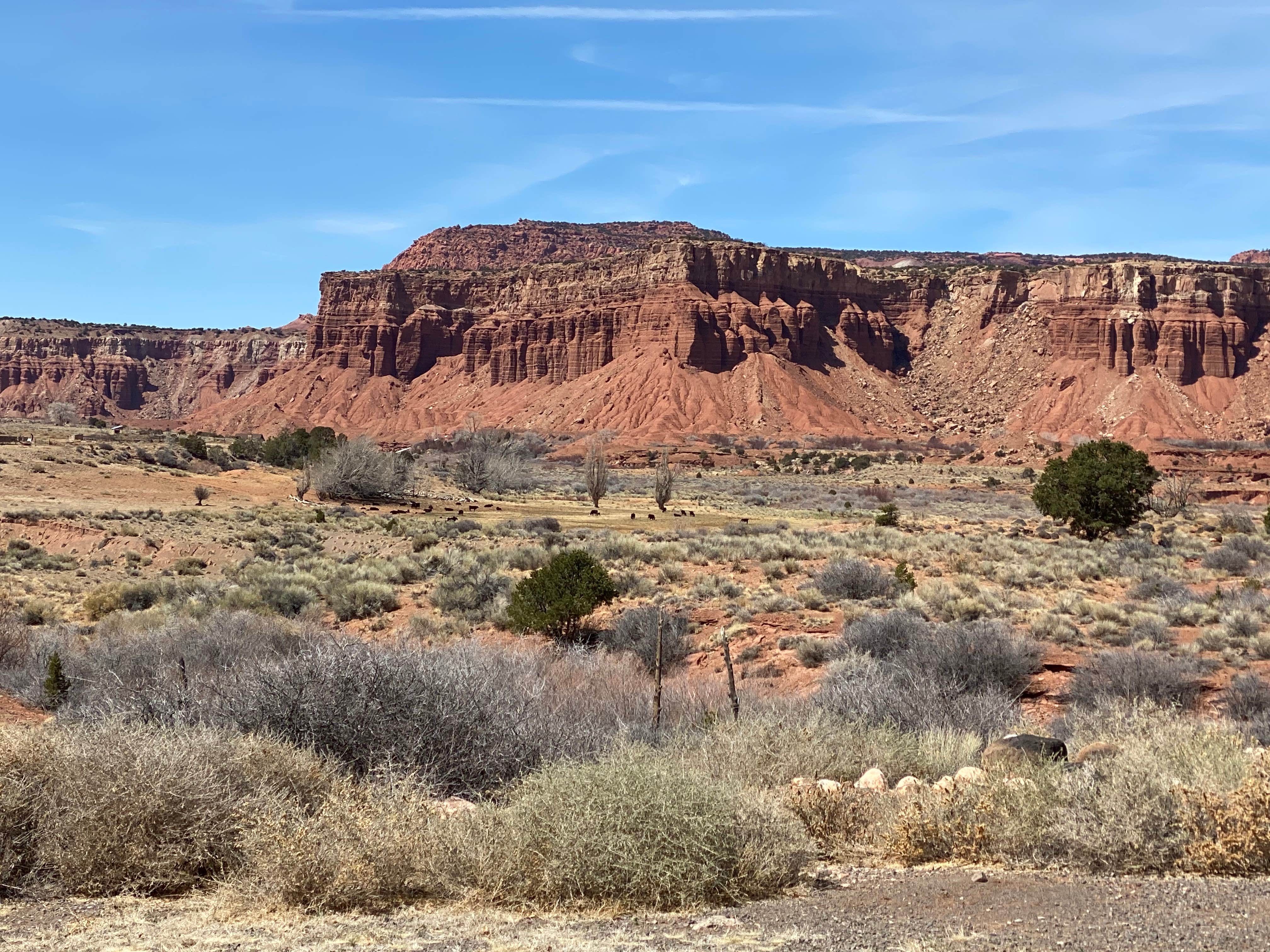 Camper-submitted photo at Thousand Lakes RV Park near Capitol Reef National Park