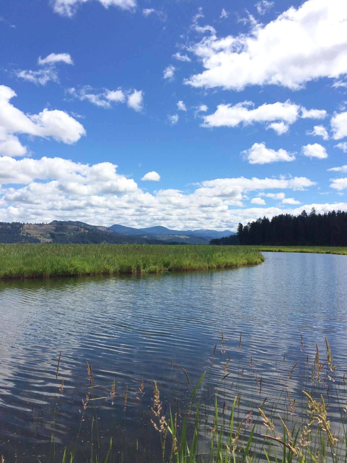 Camper submitted image from Hawleys Landing Campground — Heyburn State Park - 5