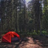 Review photo of Bowman Lake Campground — Glacier National Park by Stacy F., September 29, 2018