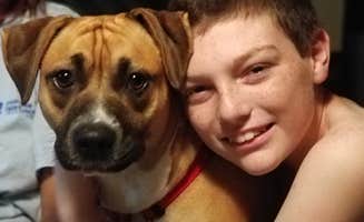 Keith K.'s photo of camping with pets at Lakeport State Park Campground near Ray, MI