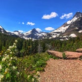 Review photo of Many Glacier Campground — Glacier National Park by Stacy F., September 29, 2018