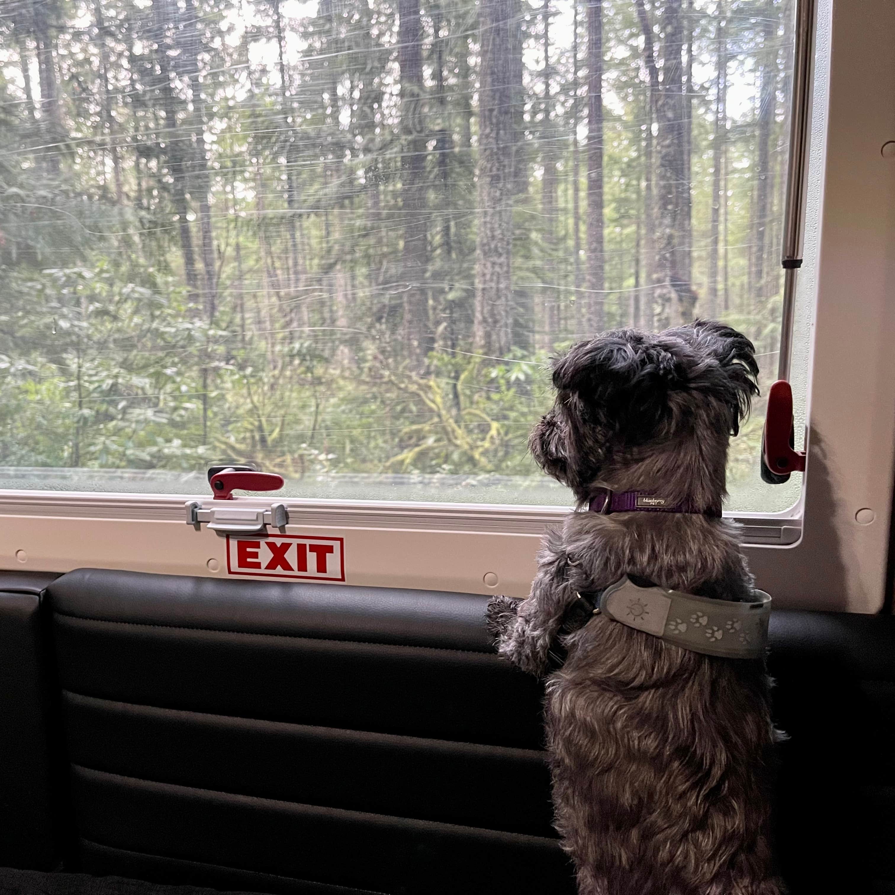 Scenic Beach State Park Campground | Seabeck, Washington