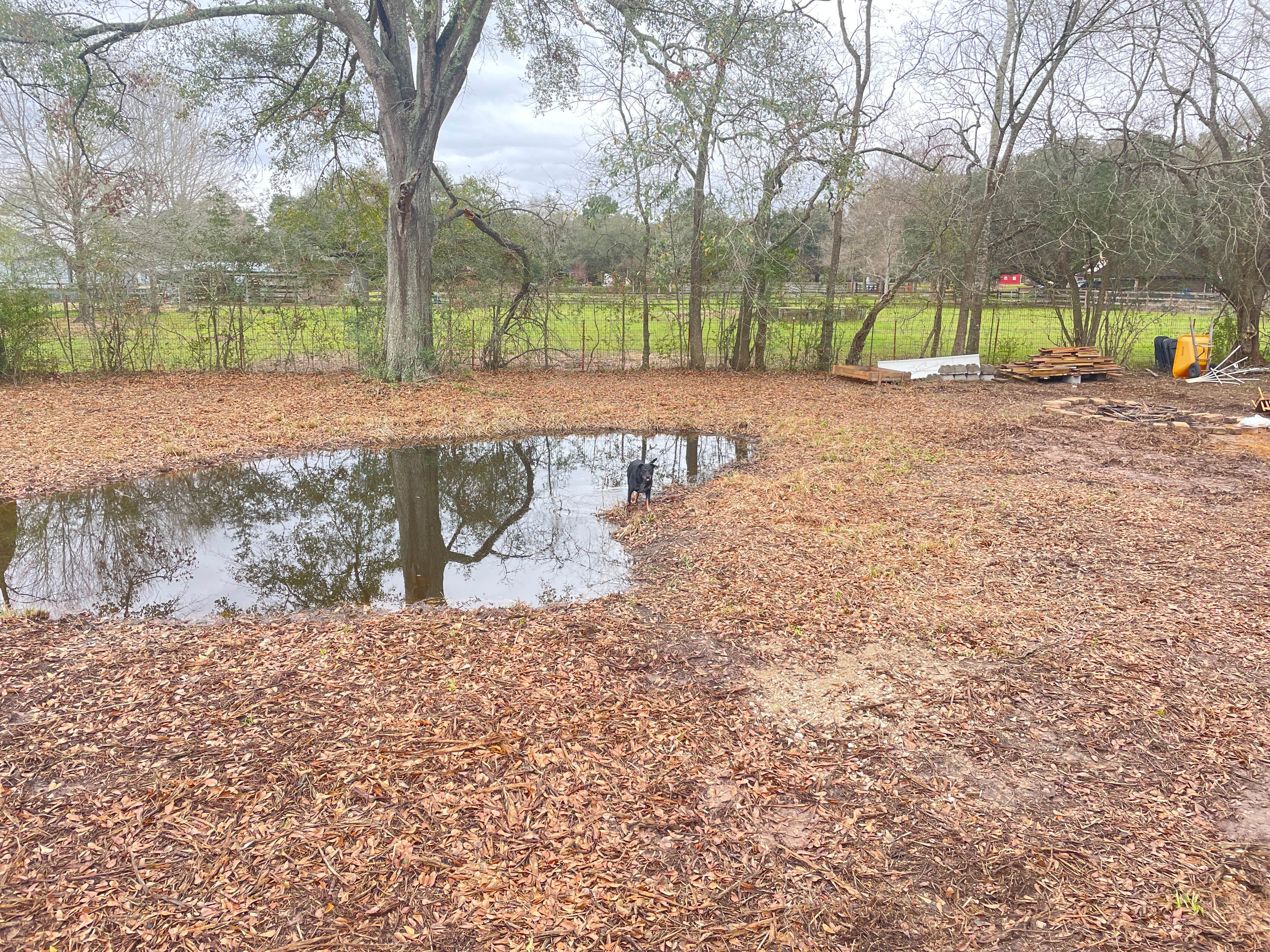 Camping near Stephen F. Austin State Park Campground: Bambolea, Cypress, Texas