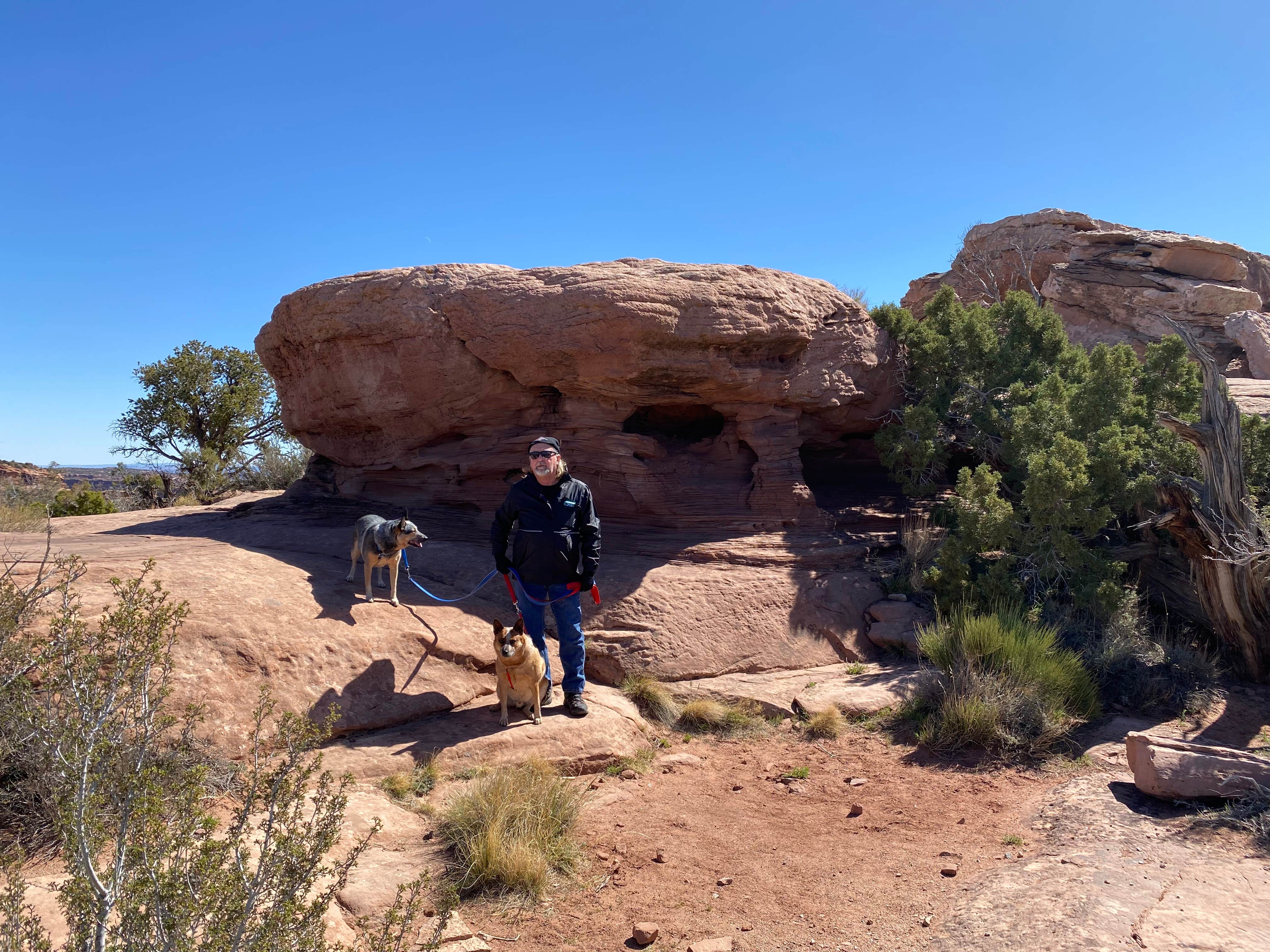 Joy W.'s photo of camping with pets at Kayenta Campground — Dead Horse Point State Park near Canyonlands National Park