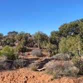 Review photo of Kayenta Campground — Dead Horse Point State Park by Joy W., January 24, 2023