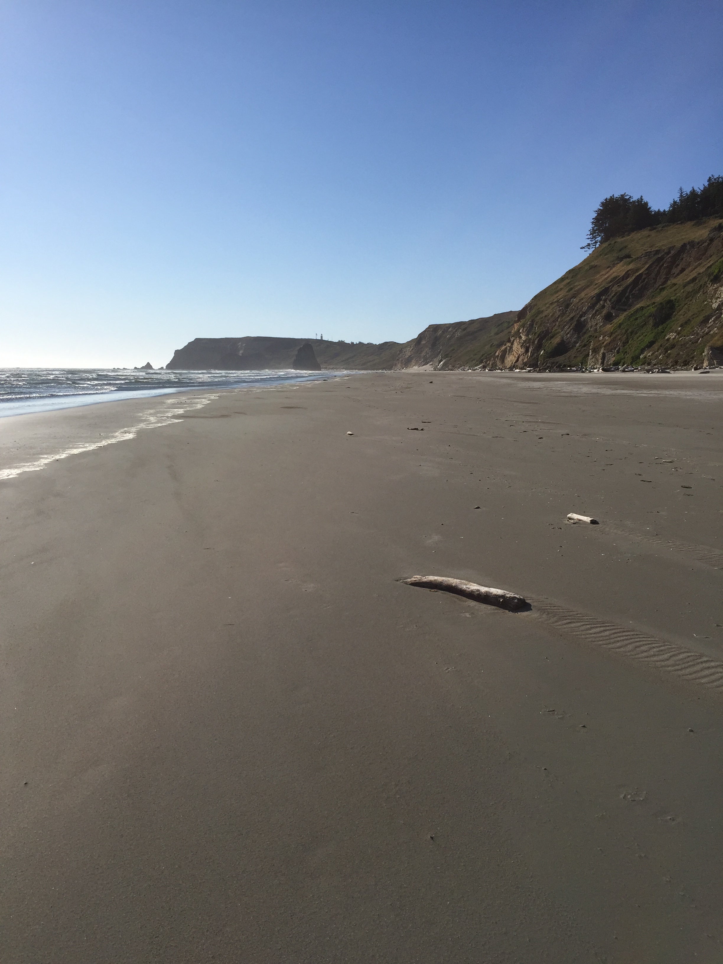 Camper submitted image from Cape Blanco State Park Campground - 5