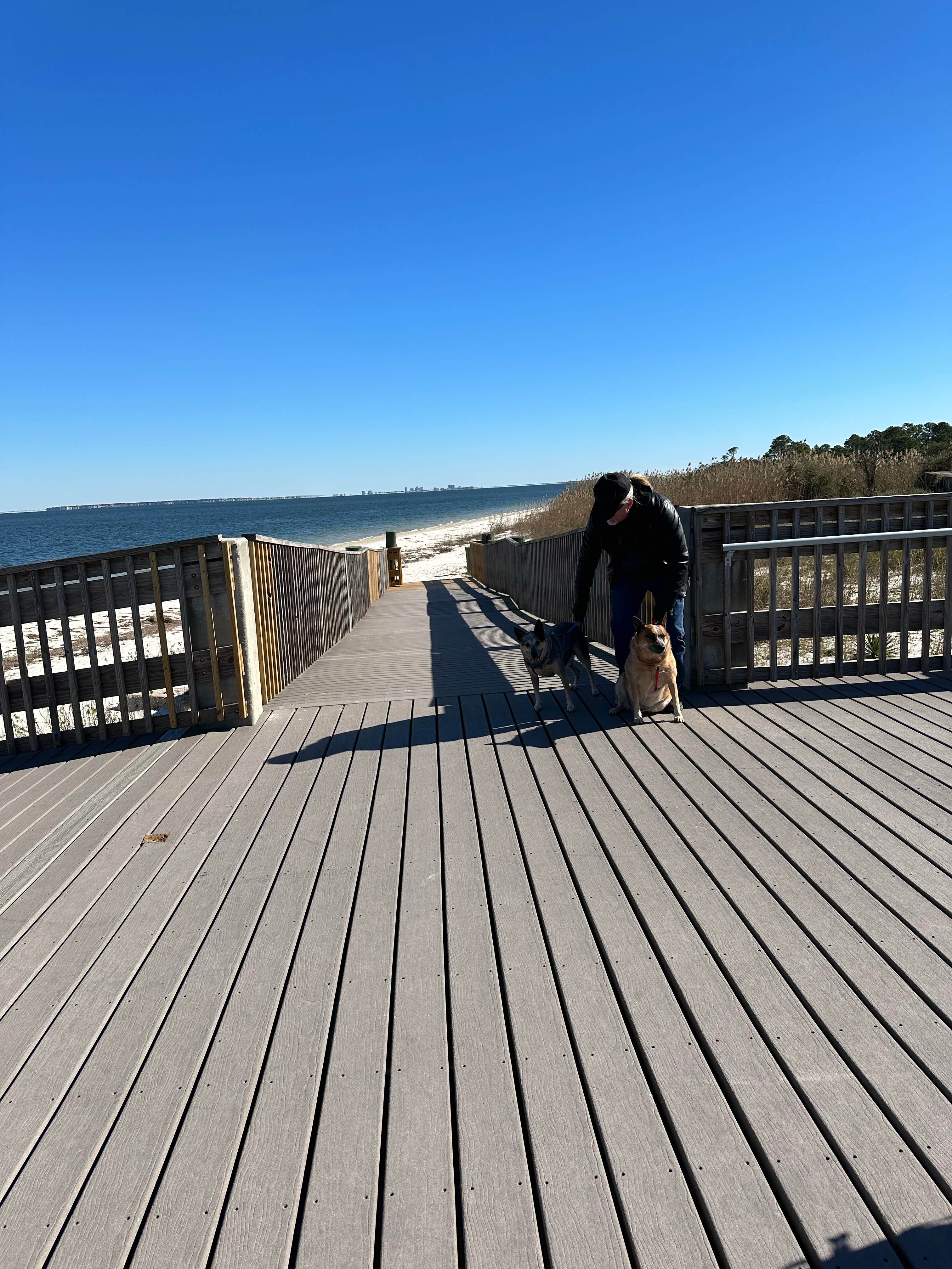Joy W.'s photo of camping with pets at Fort Pickens Campground — Gulf Islands National Seashore near Magnolia Springs, AL