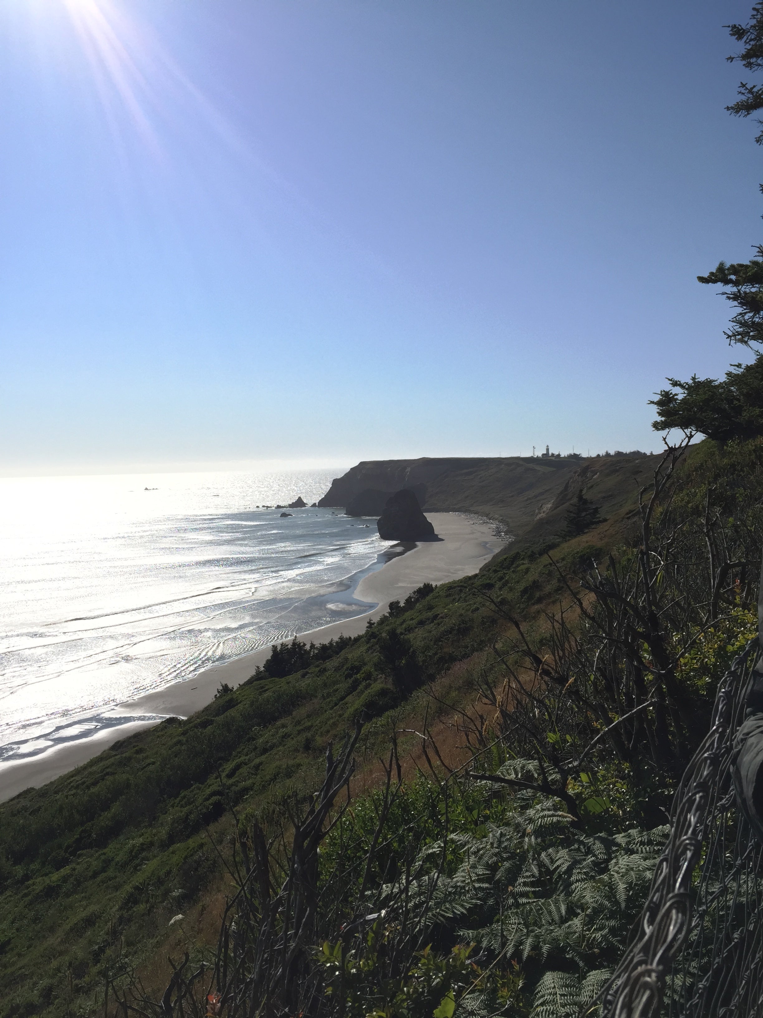 Camper submitted image from Cape Blanco State Park Campground - 1