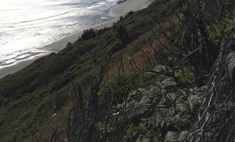 Camping near Port Orford RV Village: Cape Blanco State Park Campground, Sixes, Oregon