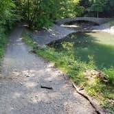 Review photo of Fillmore Glen State Park Campground by Katarina  M., September 29, 2018