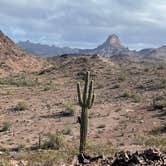 Review photo of Black Rock RV Village by Steven F., January 24, 2023