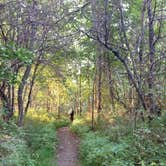 Review photo of Mount Greylock State Reservation by Tina D., September 29, 2018