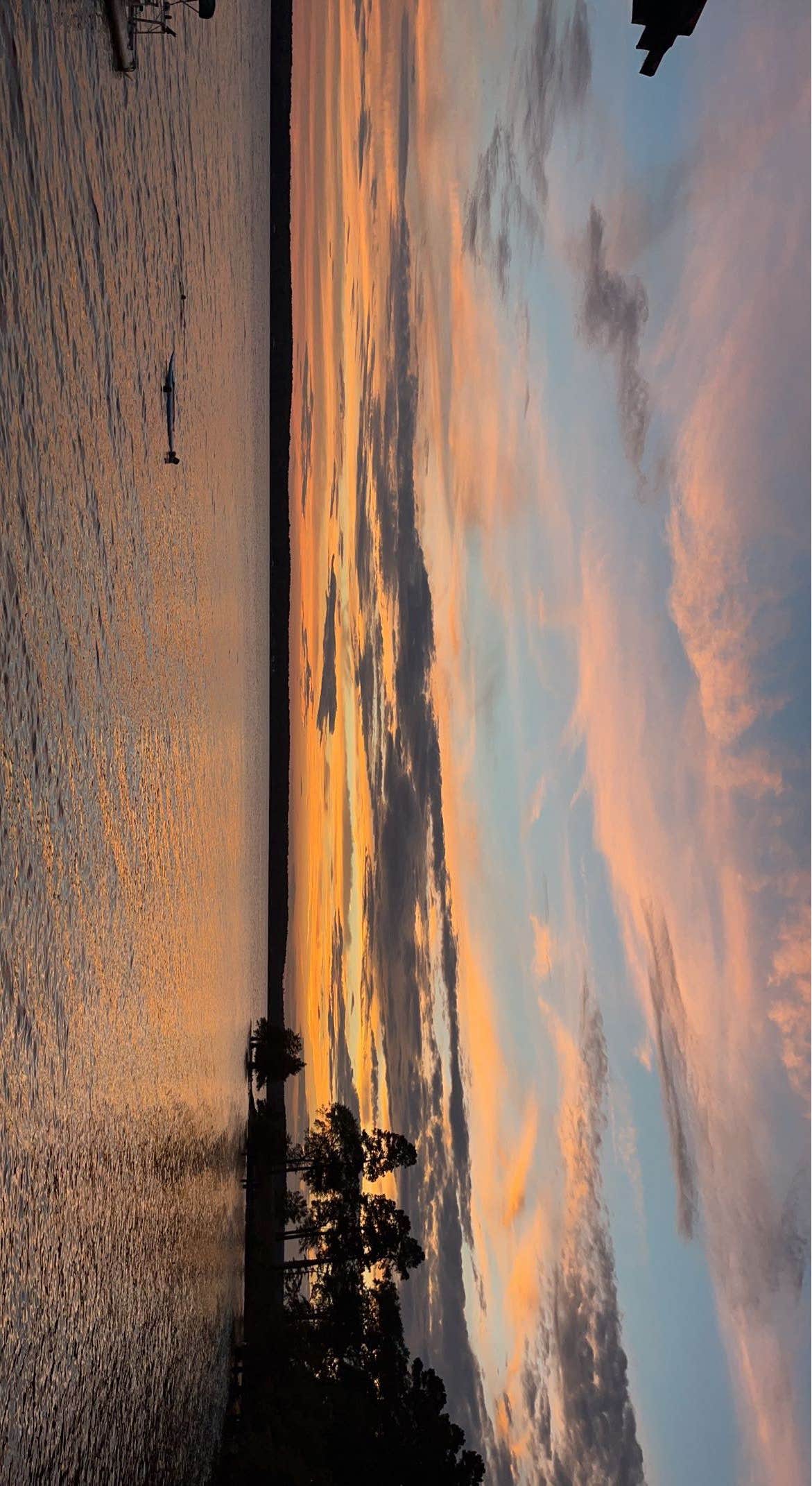 Camper-submitted photo at Wildwood RV Resort near Natchitoches, LA