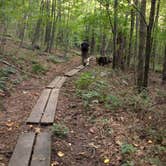 Review photo of Mount Greylock State Reservation by Tina D., September 29, 2018