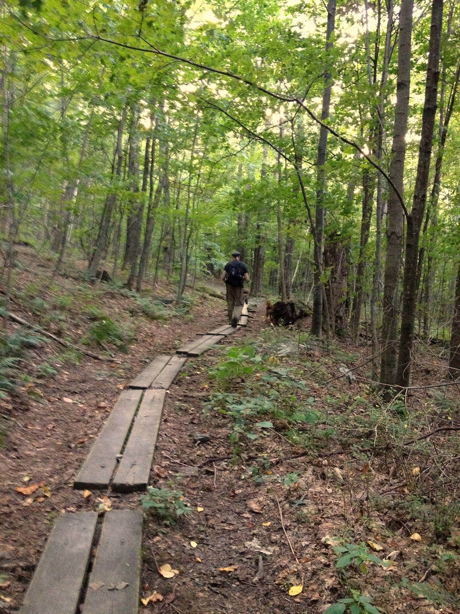 Camper submitted image from Mount Greylock State Reservation - 4