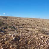 Review photo of Carlsbad BLM Land Dispersed by Noah E., January 24, 2023