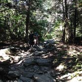 Review photo of Mount Greylock State Reservation by Tina D., September 29, 2018