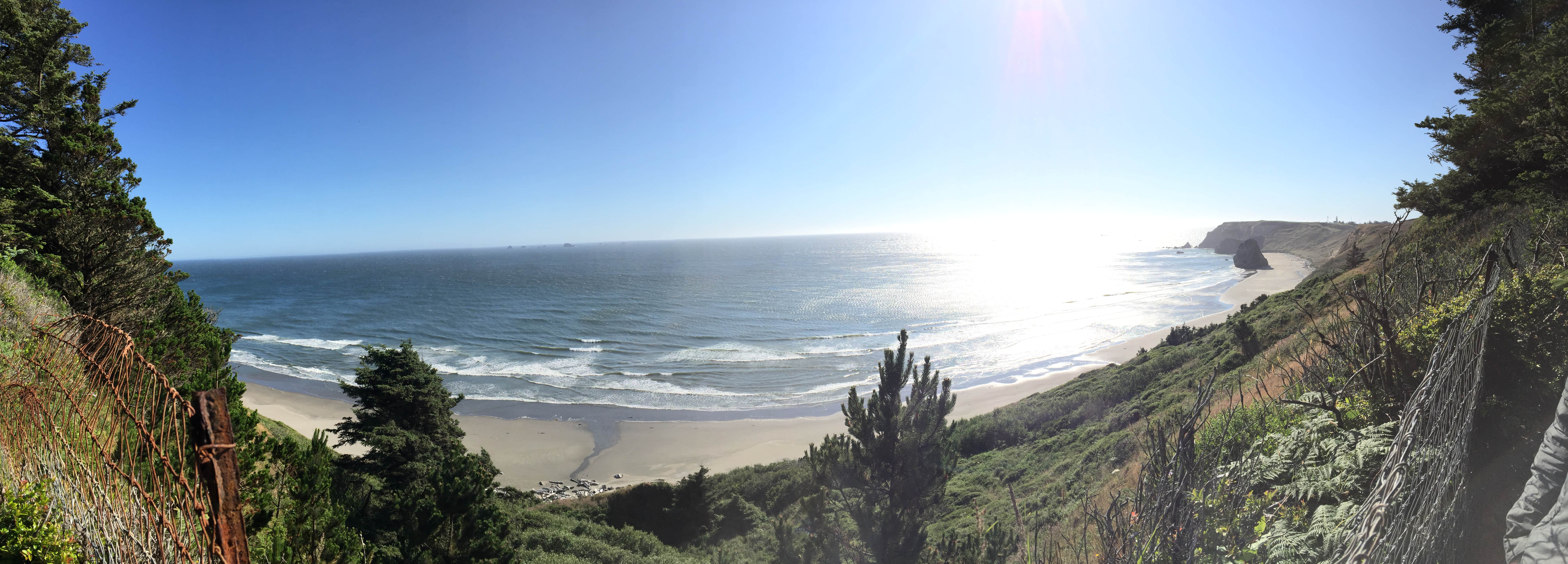 Camper submitted image from Cape Blanco State Park Campground - 2
