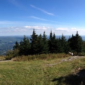 Review photo of Mount Greylock State Reservation by Tina D., September 29, 2018