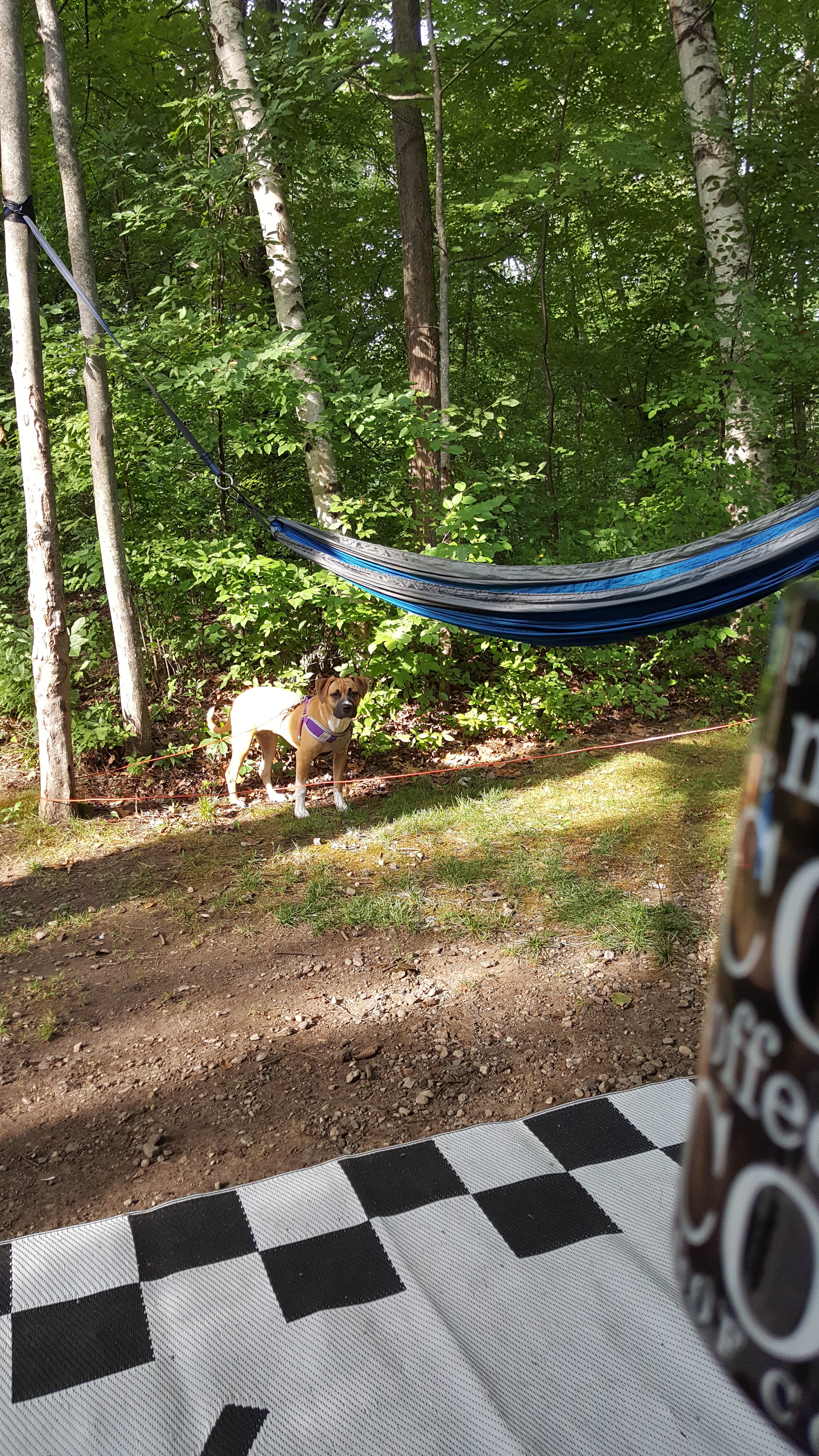 Camper-submitted photo at Port Huron KOA near Avoca, MI