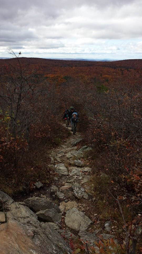 Camper-submitted photo at Brassie Brook Shelter - Bear Mountain — Appalachian National Scenic Trail near Farmington, CT