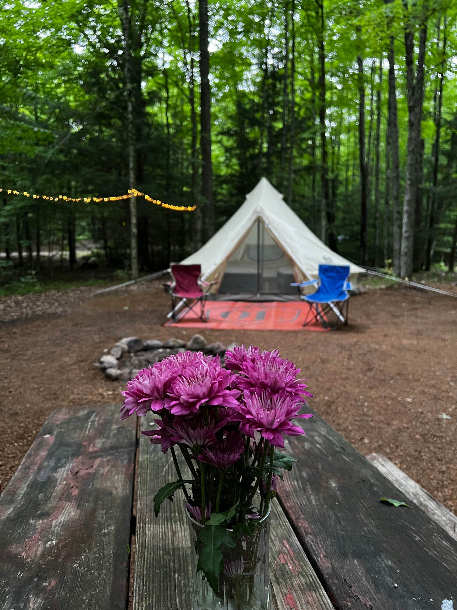 The Dyrt's photo at River Forest Campground And Outdoor Retreats near Marion, WI