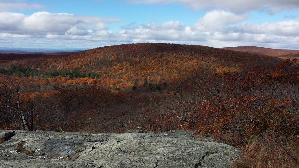 Camper submitted image from Brassie Brook Shelter - Bear Mountain — Appalachian National Scenic Trail - 1