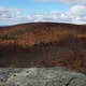 Brassie Brook Shelter - Bear Mountain — Appalachian National Scenic Trail