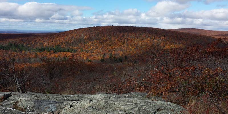 Camper submitted image from Brassie Brook Shelter - Bear Mountain — Appalachian National Scenic Trail