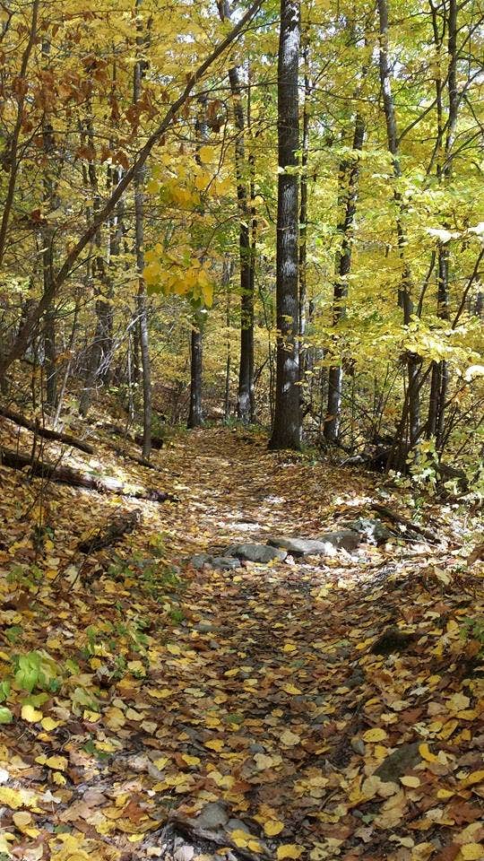 Camper-submitted photo at Brassie Brook Shelter - Bear Mountain — Appalachian National Scenic Trail near Farmington, CT